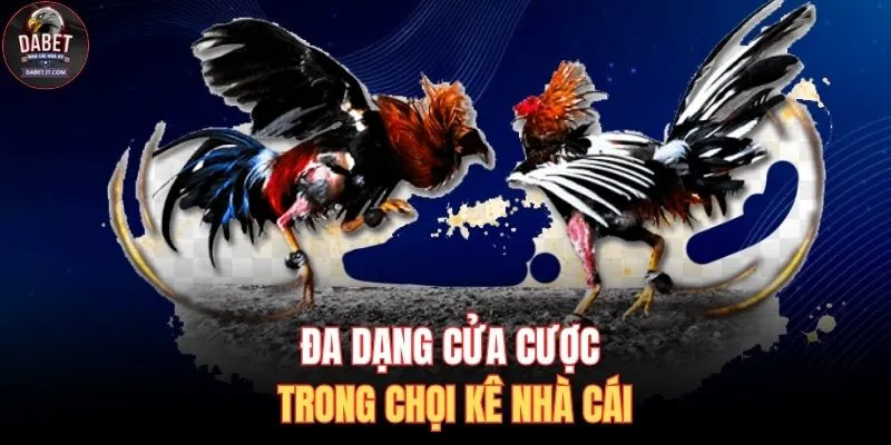 Đá Gà DABET 3 Đa dạng cửa cược trong chọi kê nhà cái
