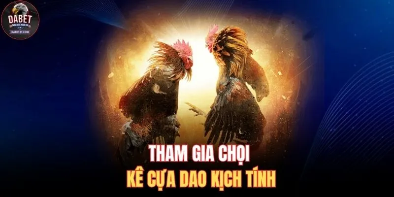 Đá Gà DABET 2 Tham gia chọi kê cựa dao kịch tính